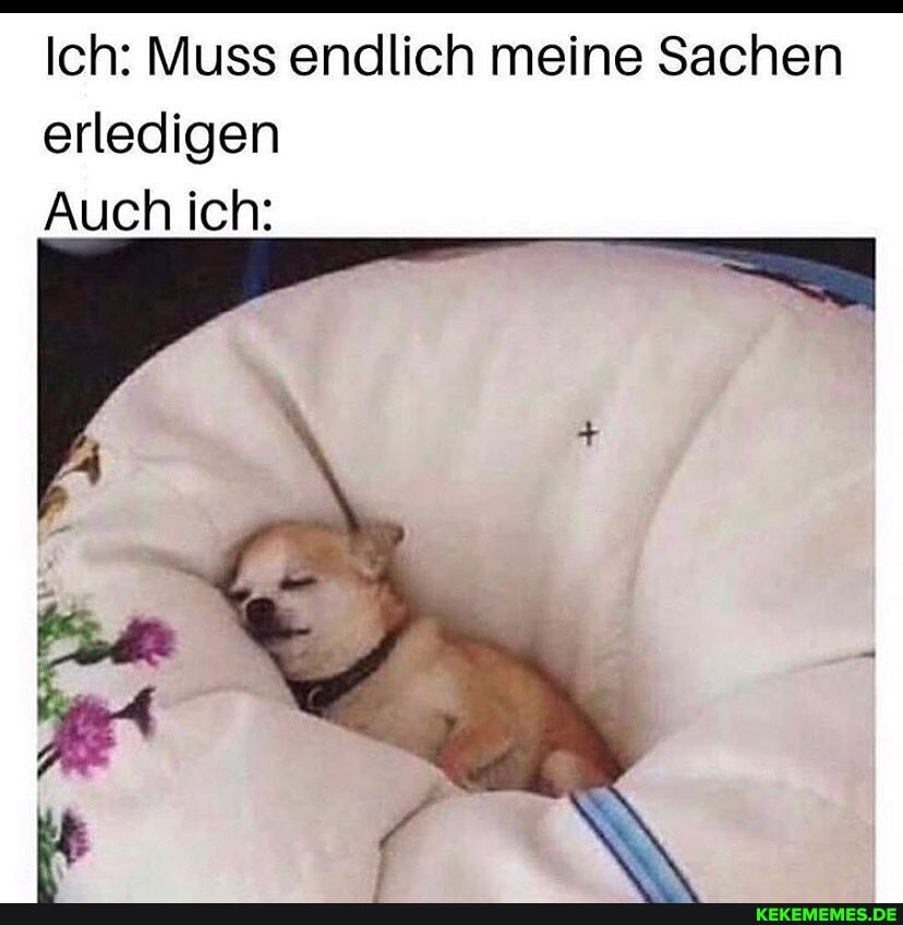 Ich: Muss endlich meine Sachen erledigen
Auch ich: