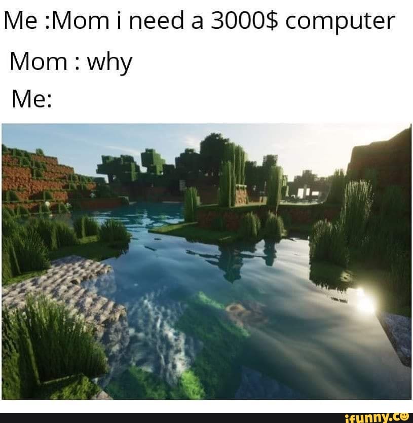 Me :Mom i need a 3000$ computer Mom : why Me: - iFunny