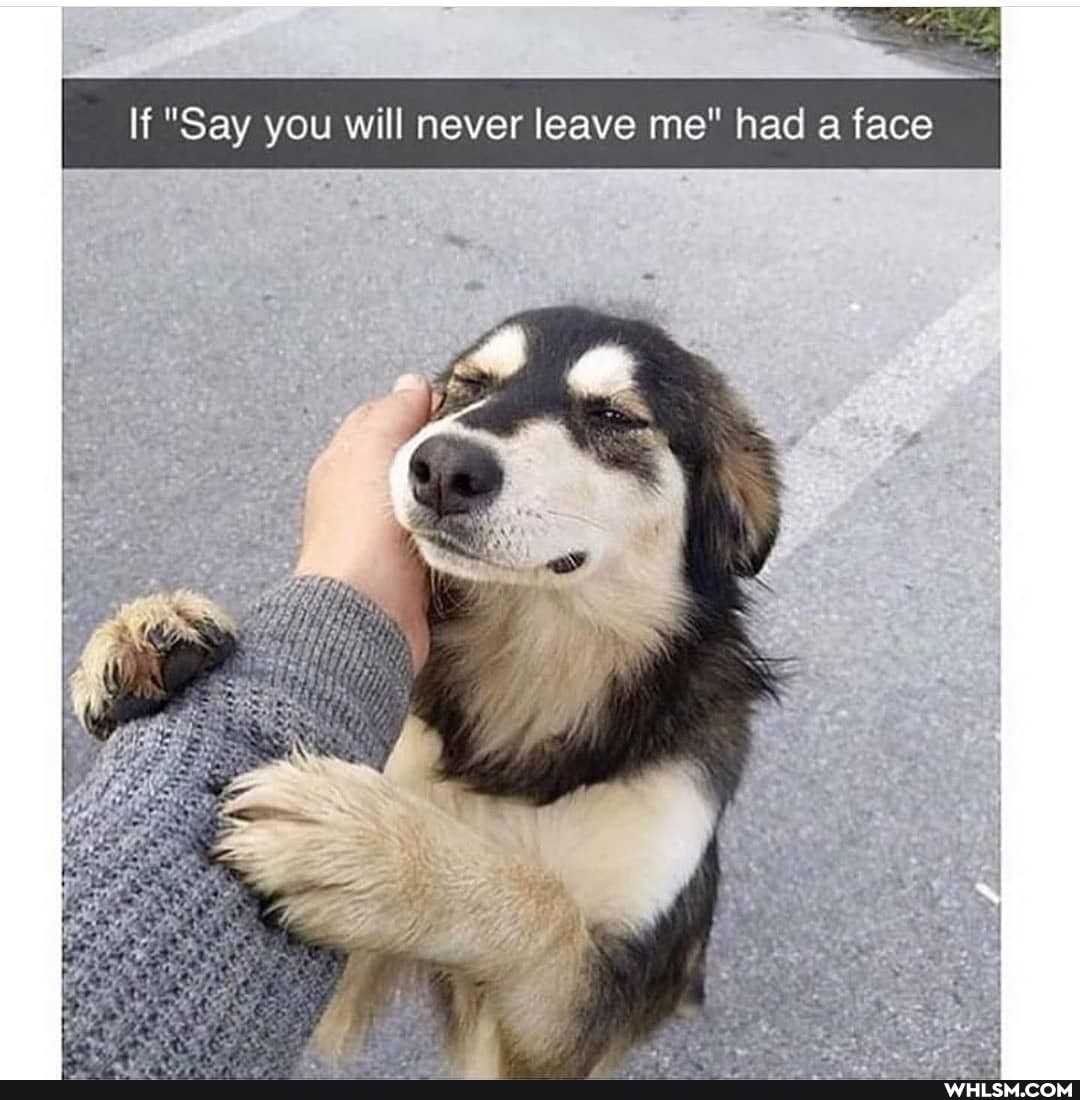 had a face
"Say you will never leave me had face
If