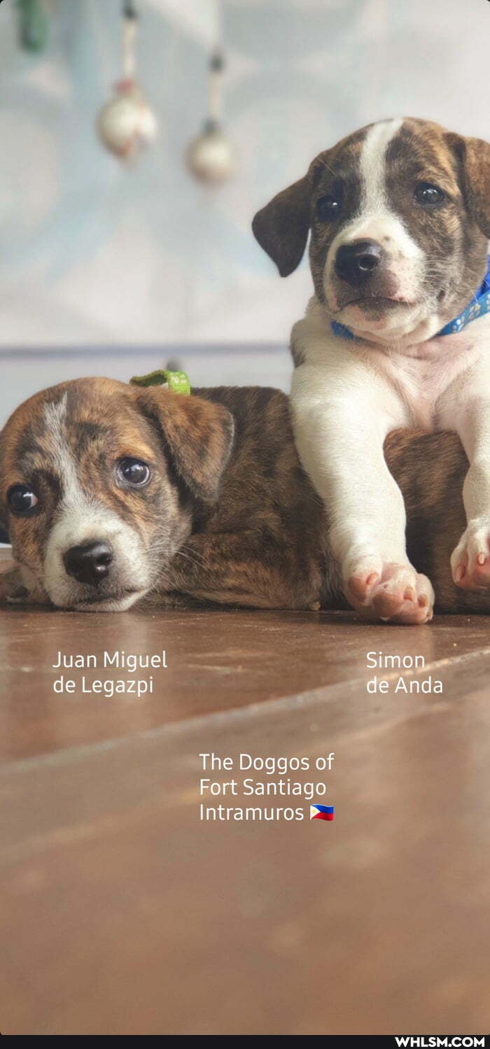 Juan Miguel de Legazpi
The Deggas of
Fart Santiago
Intramuros
Simon de Anda