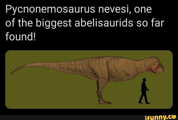 Pycnonemosaurus nevesi, one of the biggest abelisaurids so far found ...