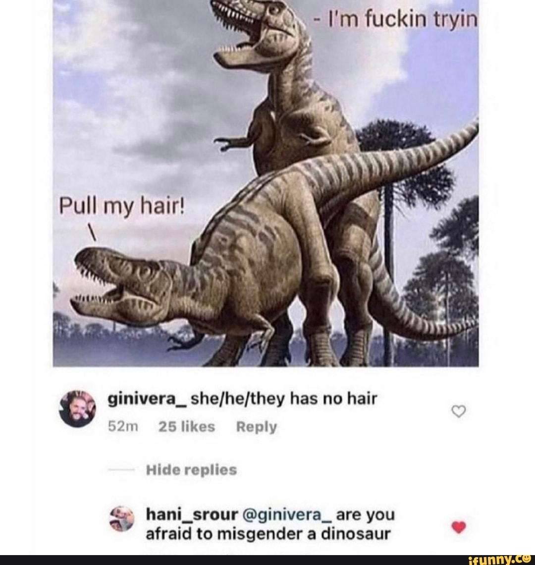 in tryin
Pull my hair!
ginivera_ sheshefthey has no hair
Sam 25 likes Reply
Hide replies
hani_srour @ginivera_ are you afraid to misgender a dinosaur