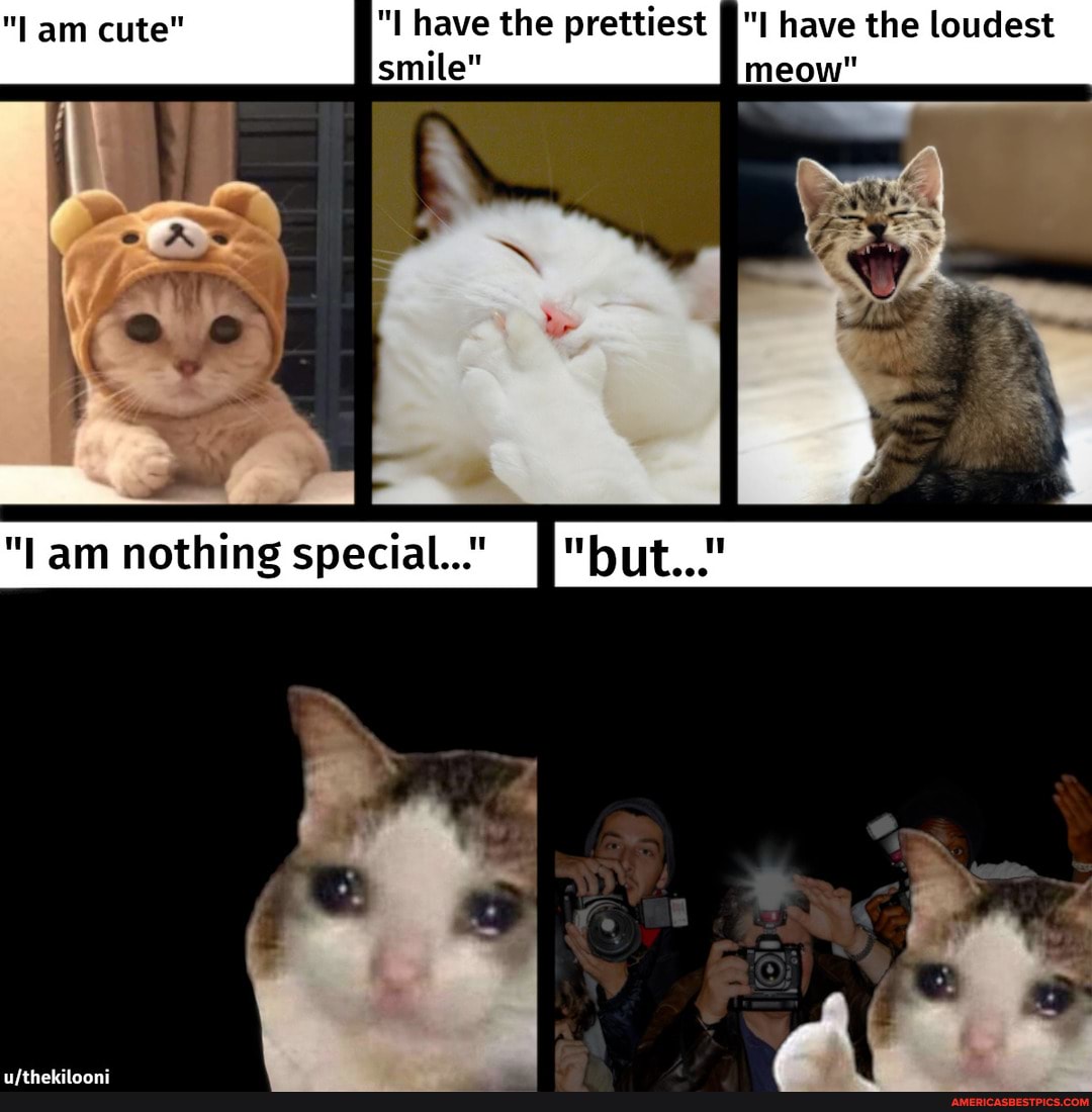 "I have the prettiest I have the loudest smile" meow"
am nothing special..."