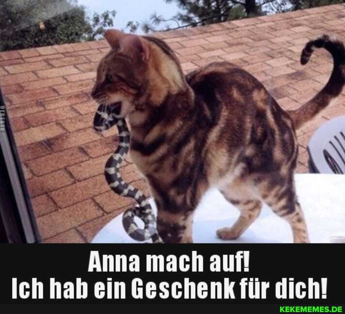Anna mach auf
Irh hah ein Reerhenk für rlirhl