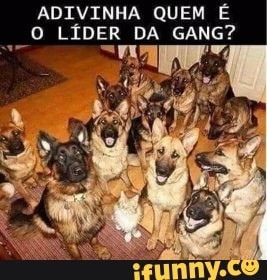 ADIVINHA QUEM É O LÍDER DA GANG? em =