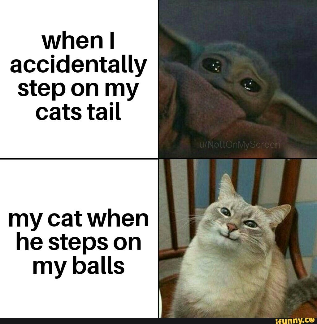 when I
accidentally
step on my
cats tail
my cat when
he steps on
my balls