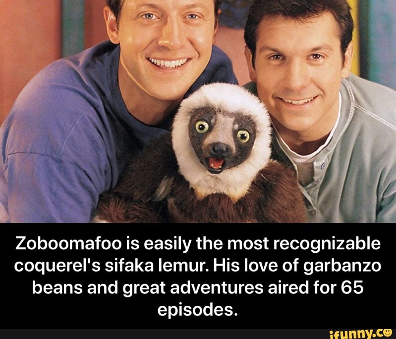 Ma
Fa
Zoboomafoo is easily the most recognizable
coquerel's sifaka lemur. His love of garbanzo
beans and great adventures aired for 65
episodes. - Zoboomafoo is easily the most recognizable coquerel's sifaka lemur. His love of garbanzo beans and great adventures aired for 65 episodes.
