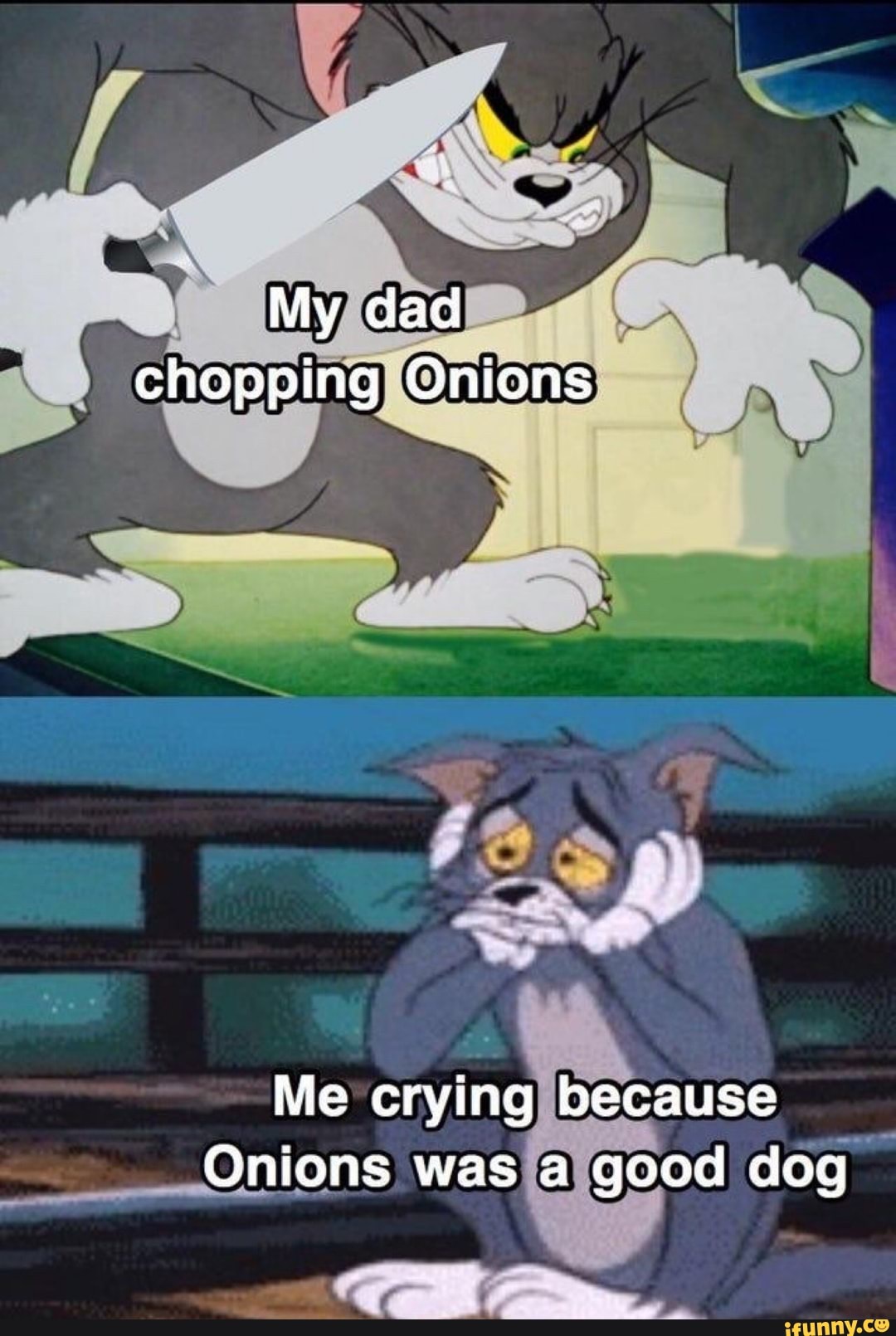 NI My dad Chopping Onions Me crying because Onions was a good dog iFunny