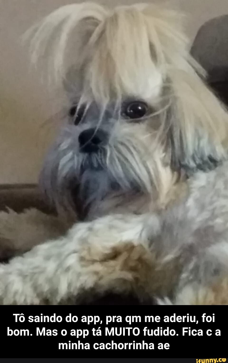 Tô saindo do app, pra qm me aderiu, foi bom. Mas o app tá MUITO fudido. Fica c a minha cachorrinha ae - Tô saindo do app, pra qm me aderiu, foi bom. Mas o app tá MUITO fudido. Fica c a minha cachorrinha ae