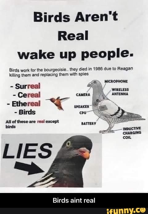 Birds Aren't
Real wake up people-
Birds work for the bourgeoisie... they died in 1986 due to Reagan killing them and replacing them with spies
Surreal
Birds aint real - Birds aint real