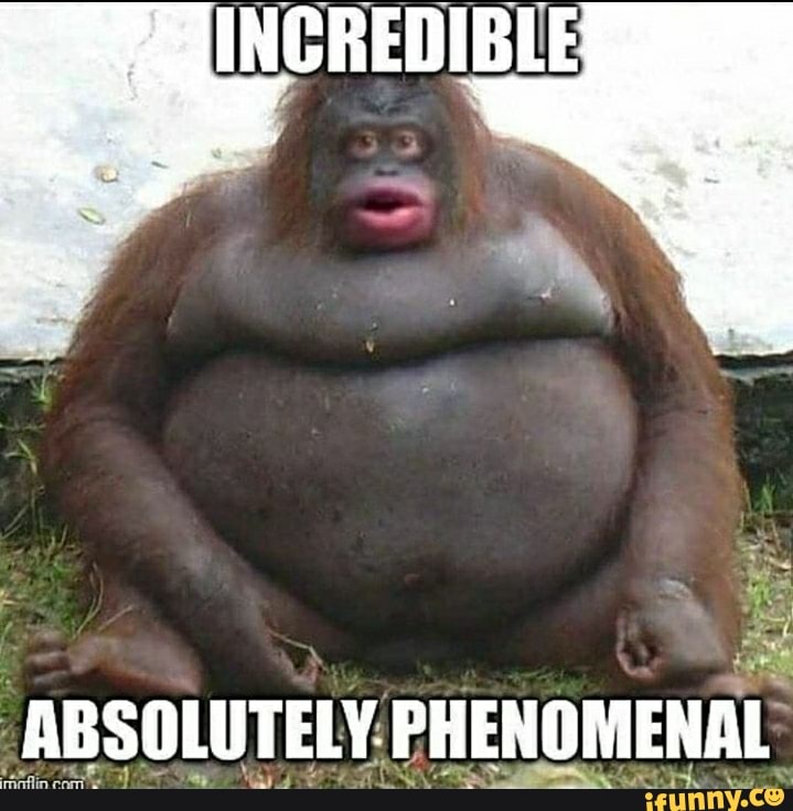 ABSOLUTELY: PHENOMENA