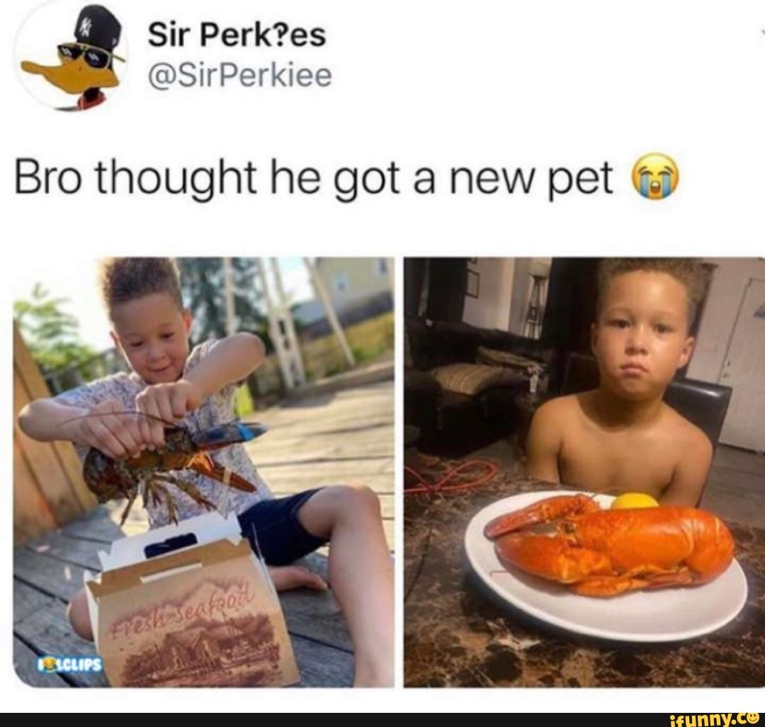 Bro thought he got a new pet
