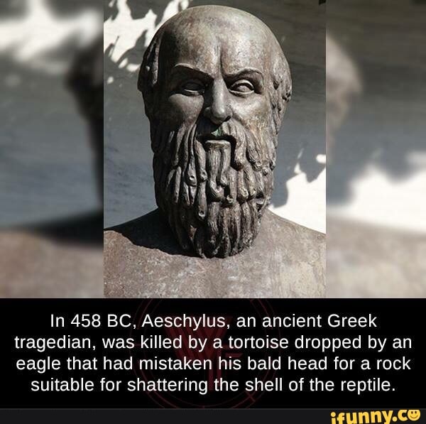 In 458 BC, Aeschylus, an ancient Greek tragedian, was killed by a ...