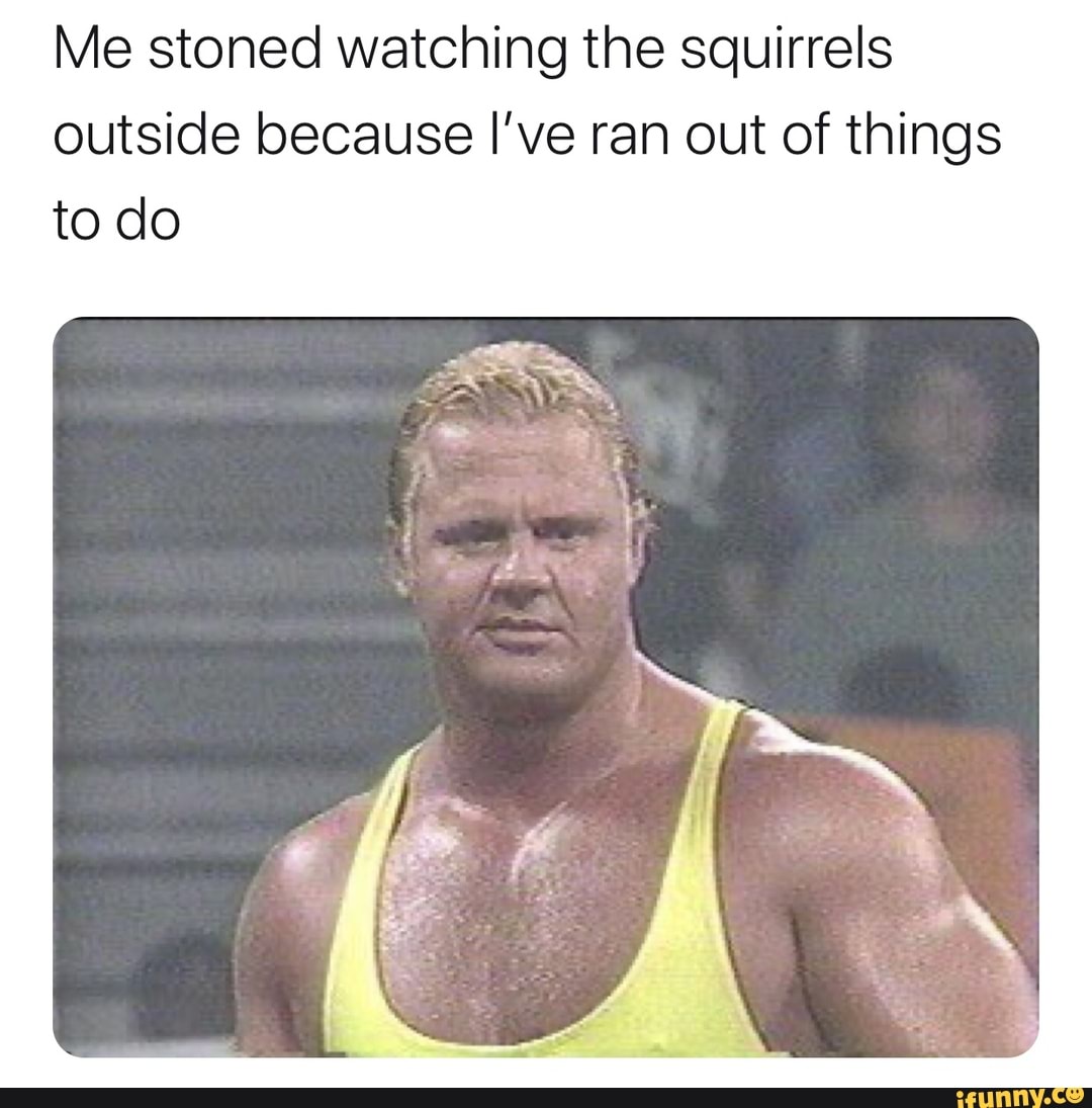 the-atomic-elbow-on-ig-meme-dump-me-stoned-watching-the-squirrels