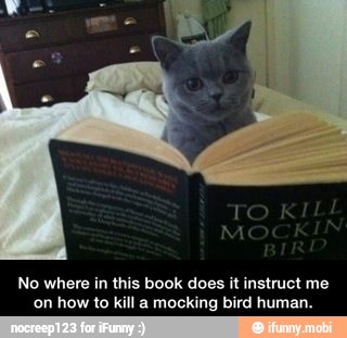 No where in this book does it instruct me
on how to kill a mocking bird human.