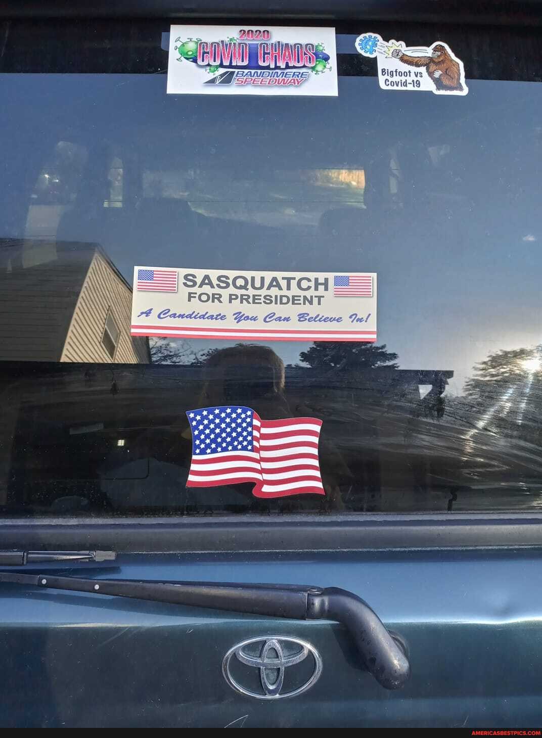 I SASQUATCH FOR PRESIDENT
\ Gou Can Setieve Jul