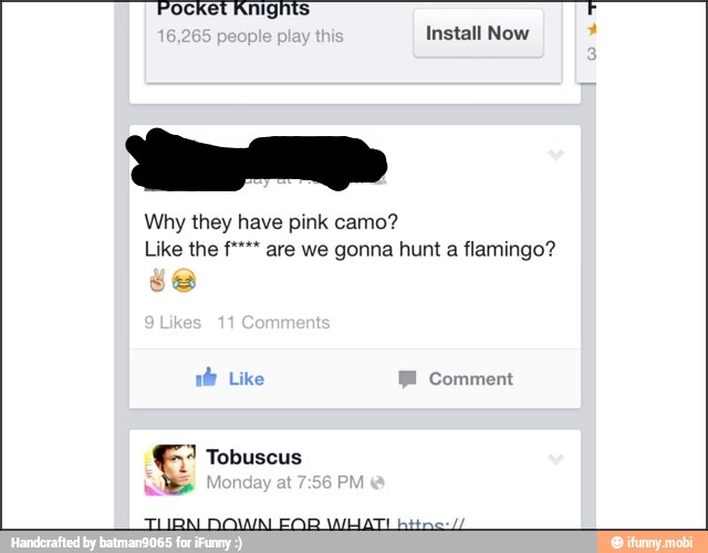 Pocket Knights F
they pink
Like the f**** are we gonna hunt a flamingo?
ye