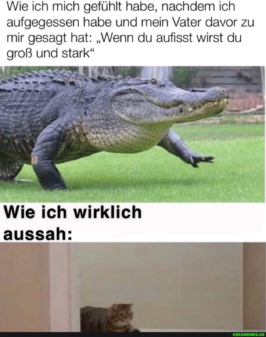 Wie ich mich gefühlt habe, nachdem ich aufgegessen habe und mein Vater davor zu mir gesagt hat: "Wenn du aufisst wirst du groß und stark"
Wie ich wirklich aussah: