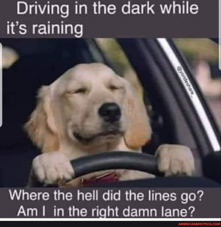 Driving in the dark while it's raining
Where the hell did the lines go?
Am in the right damn lane?