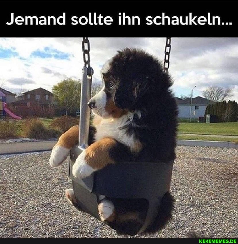 Jemand sollte ihn schaukeln...