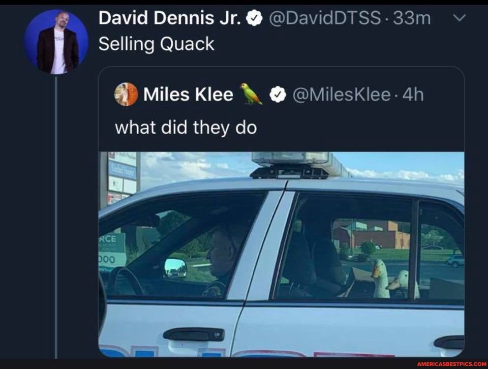 David Dennis Jr.@ @DavidDTSS-33m vv
Selling Quack
@ Miles Klee @ @MilesKlee- what did they do
