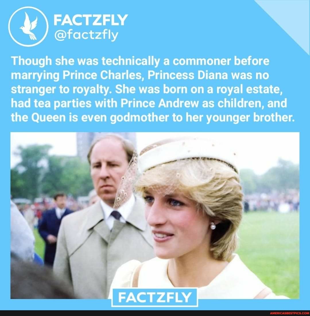 factzfly
Though she was technically a commoner before marrying Prince Charles, Princess Diana was no stranger to royalty. She was born on a royal estate, had tea parties with Prince Andrew as children, and the Queen is even godmother to her younger brother.
F a
FACTZFLY