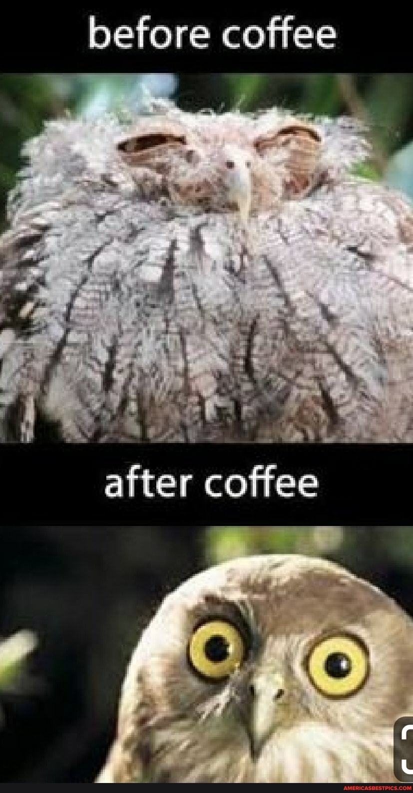 before coffee