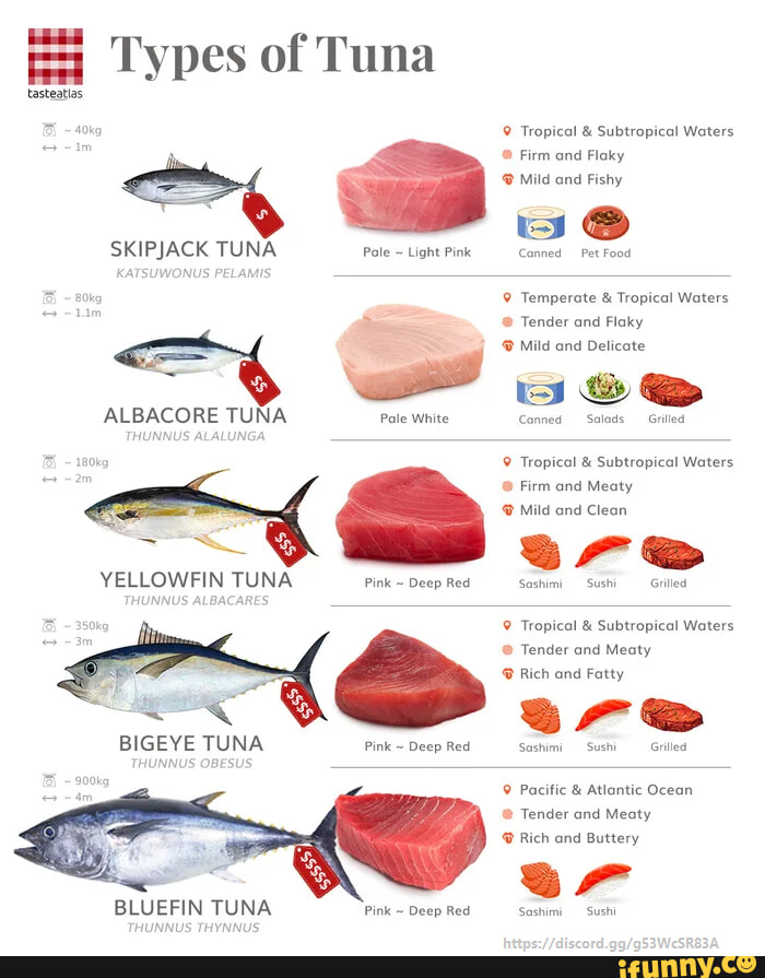 Ea Types Of Tuna Tasteatias Kg Skipjack Tuna Katsuwonus Pelamis Ir Albacore Tuna Thunnus