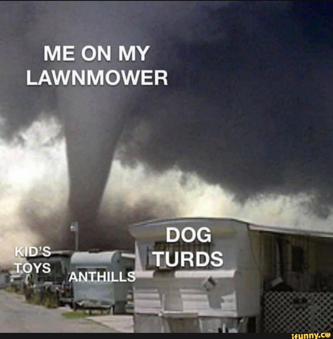 ME ON MY LAWNMOWER
DOG KIDS TURDS
POYS ANTHILLS