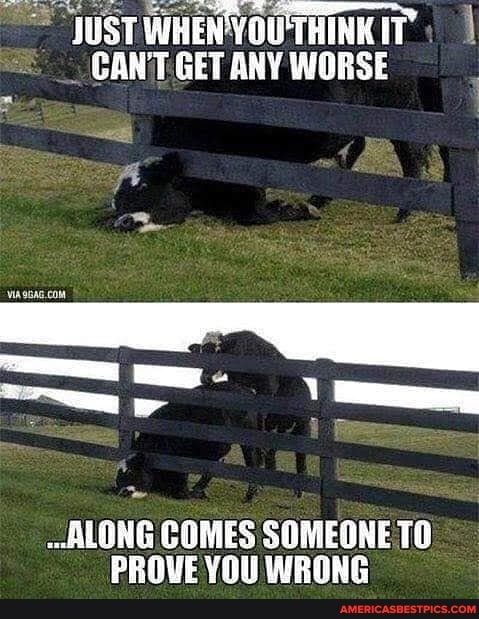 JUST WHEN IT:
CANT GET ANY WORSE
ALONG COMES SOMEONE TO PROVE YOU WRONG