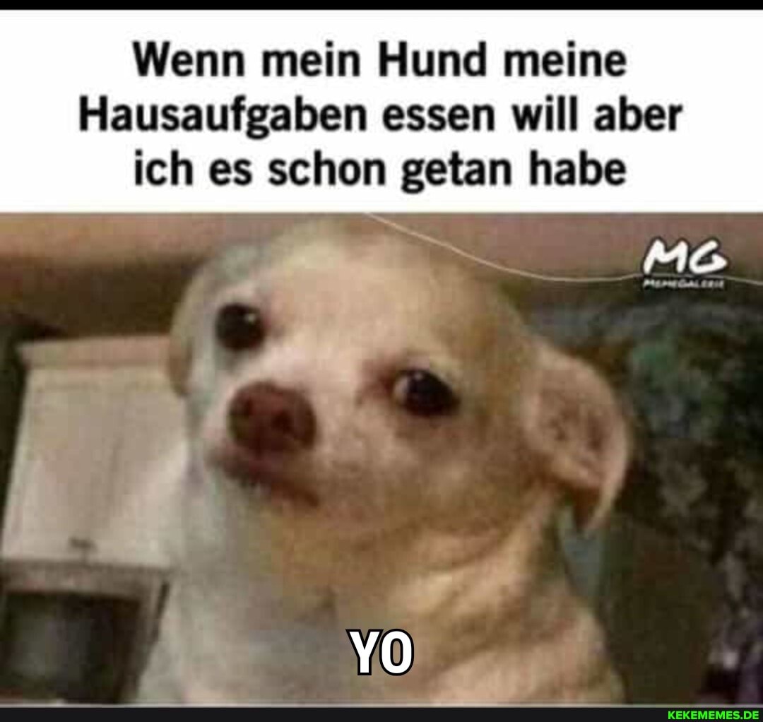 Wenn mein Hund meine
Hausaufgaben essen will aber ich es schon getan habe