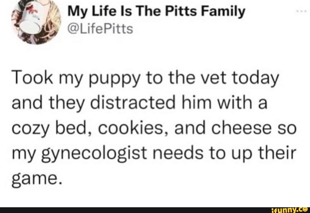 Obgyn memes. Best Collection of funny Obgyn pictures on iFunny