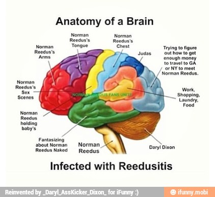 Anatomy of a Brain
Infected with Reedusitis