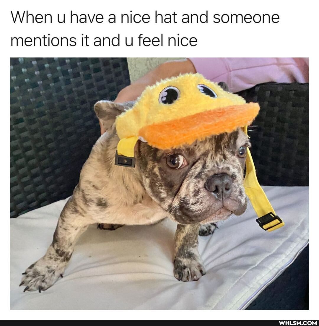 When u have a nice hat and someone mentions it and u feel nice
