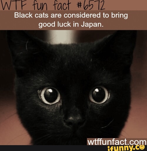 ew-i-stepped-in-shit-ifunny