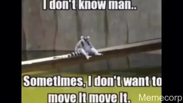 Kingjulian Memes Best Collection Of Funny Kingjulian Pictures On Ifunny - roblox king julien meme