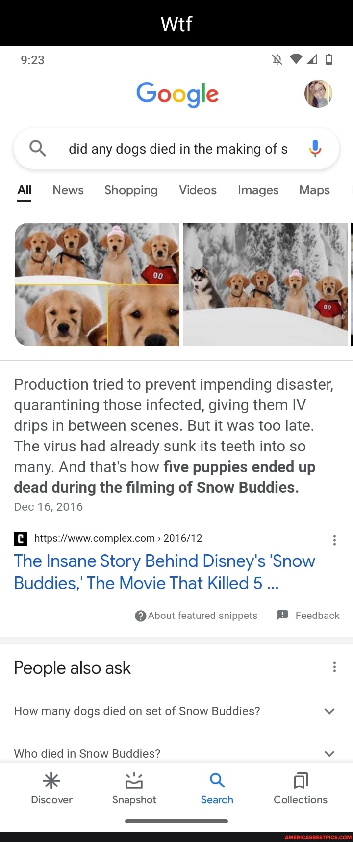 how many dogs died in snow buddies