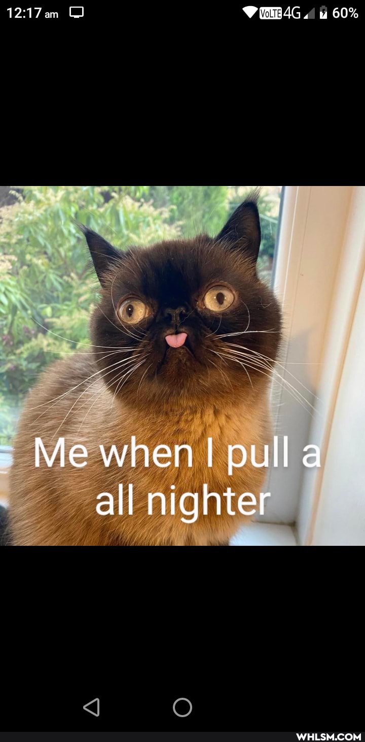 60%
Me when pulla all nighter
