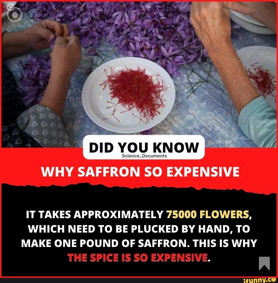 DID YOU KNOW I. men WHY SAFFRON SO EXPENSIVE IT TAKES APPROXIMATELY