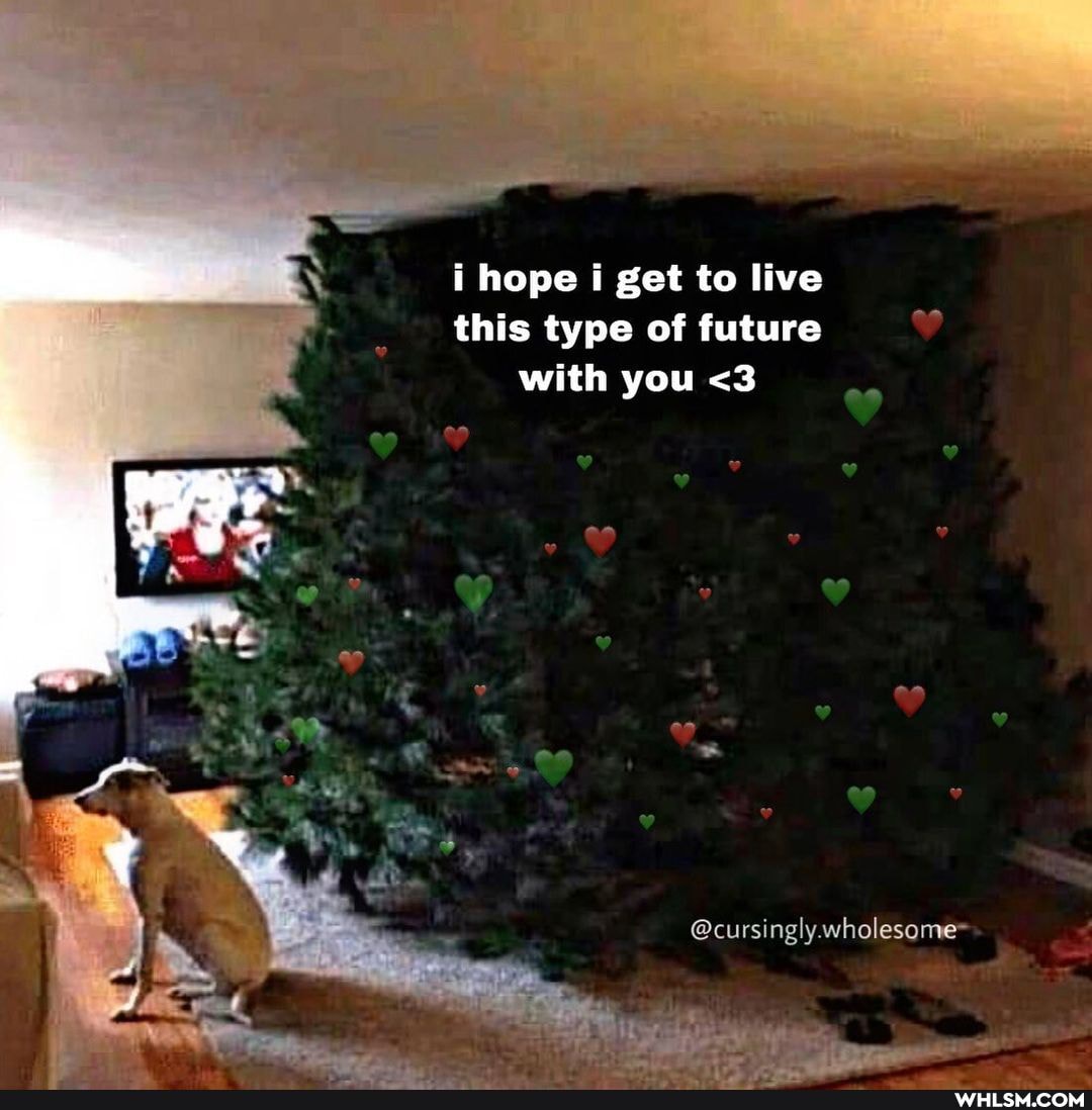 hope get to live this type of future with you <3
@cursingly wholesome