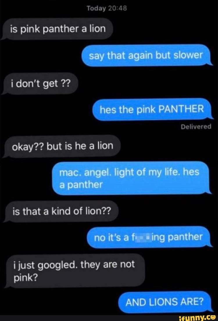 is pink panther a lion
okay?? but is he a lion
is that a kind of lion??
i just googled. they are not
pink?