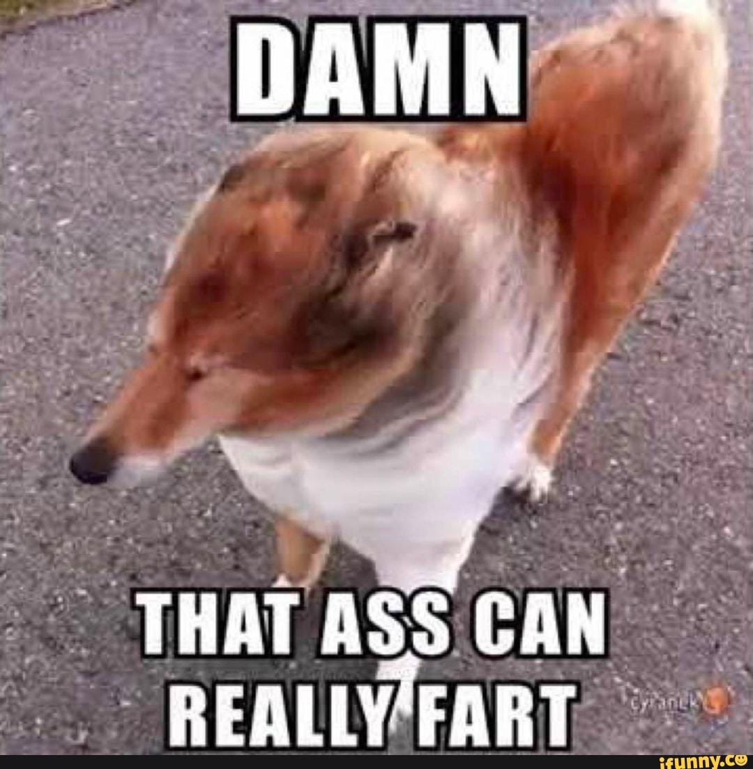 Damn That Ass Can Really Fart