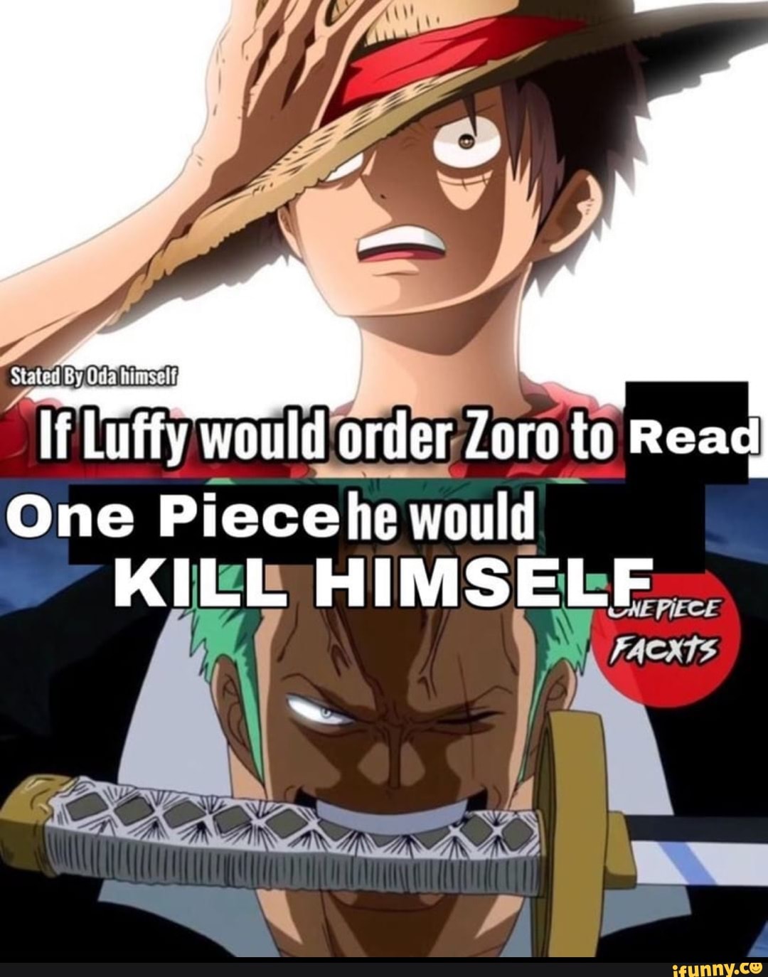 Lf Luffy would order Zoro to Read One Piecehe would KILL HIMSELF iFunny