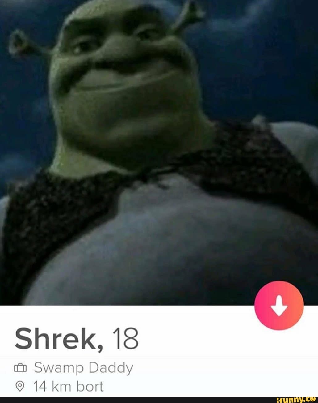 FOR DADDY SHREK! - meme 4 - Wattpad