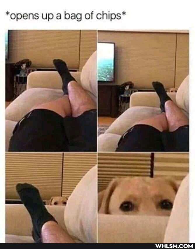 "opens up bag of chips*