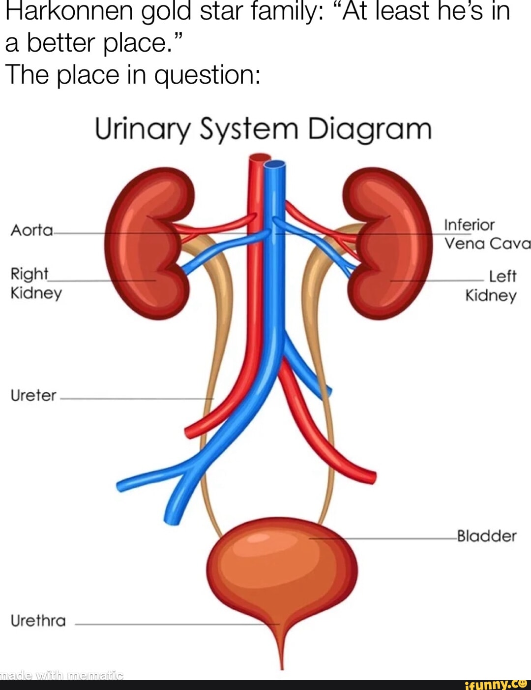 Diagram memes. Best Collection of funny Diagram pictures on iFunny